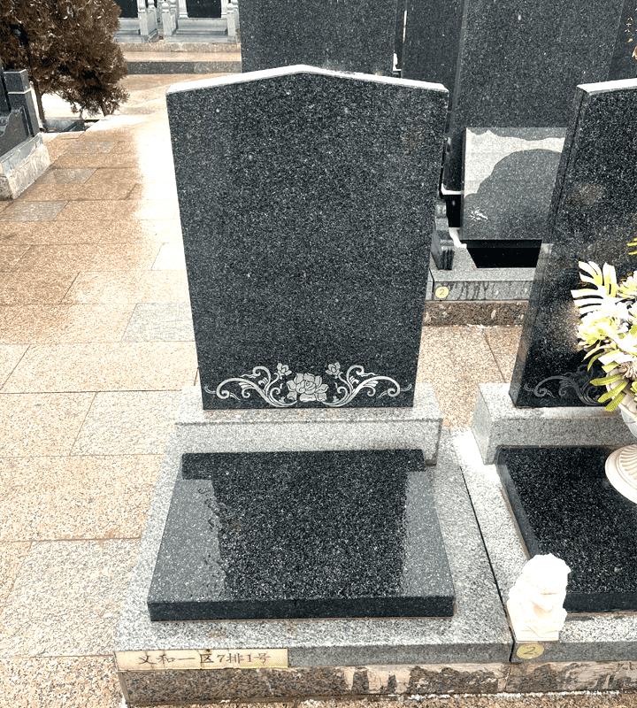 69ef802775940.png